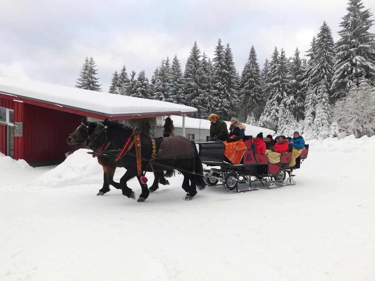 Waldhotel Rennsteighoehe Frauenwald Exteriör bild