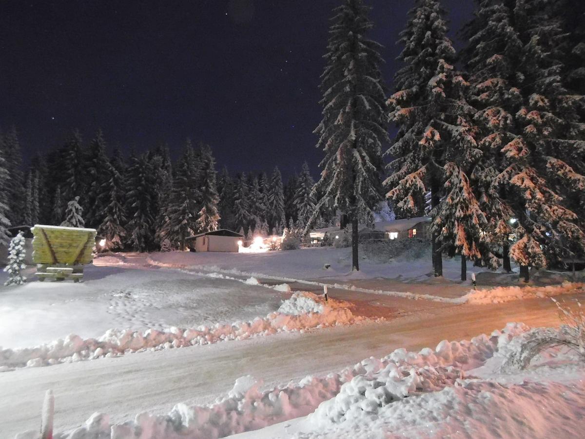 Waldhotel Rennsteighoehe Frauenwald Exteriör bild