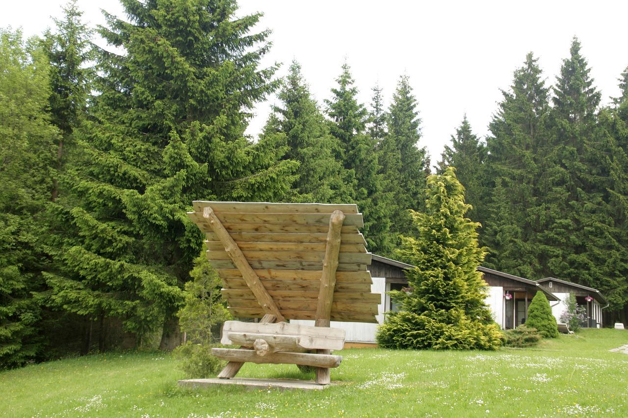 Waldhotel Rennsteighoehe Frauenwald Exteriör bild